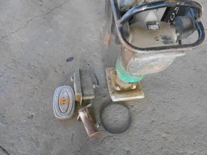 C:\fakepath\DSCN7249