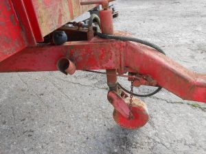 C:\fakepath\DSCN8126