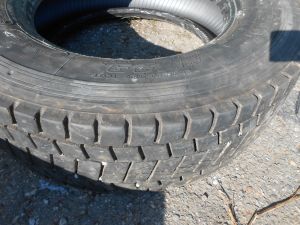 C:\fakepath\DSCN7332