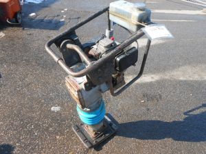 C:\fakepath\DSCN3089