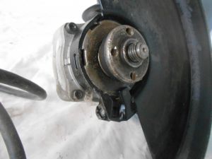 C:\fakepath\DSCN2834