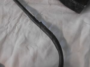 C:\fakepath\DSCN2833