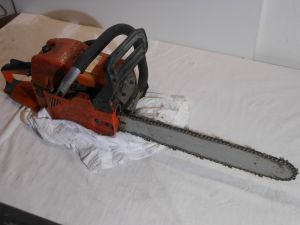 C:\fakepath\DSCN3291