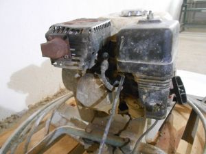 C:\fakepath\DSCN3459