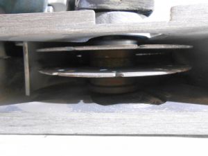 C:\fakepath\DSCN3522