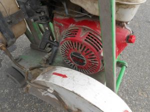 C:\fakepath\DSCN3950