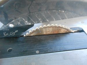 C:\fakepath\DSCN4153