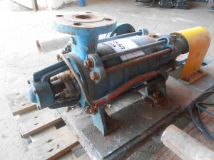 C:\fakepath\DSCN4196