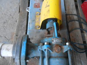 C:\fakepath\DSCN4197