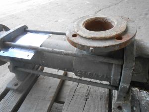 C:\fakepath\DSCN4257