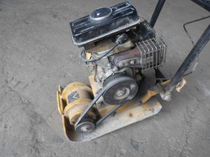 C:\fakepath\DSCN3966