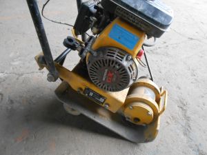 C:\fakepath\DSCN3967