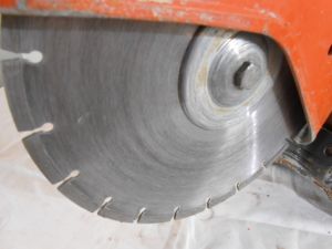 C:\fakepath\DSCN4492