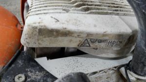 C:\fakepath\IMG 20180410 130313