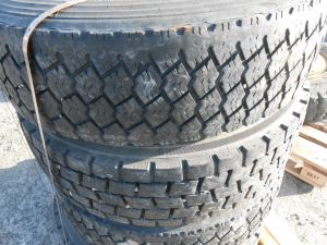 C:\fakepath\DSCN4459