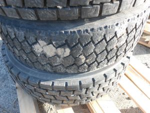 C:\fakepath\DSCN4460