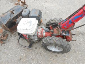 C:\fakepath\DSCN4920