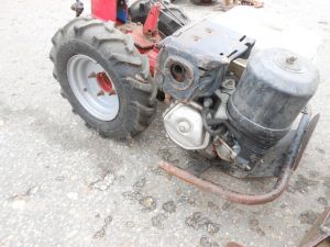 C:\fakepath\DSCN4921