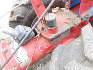 C:\fakepath\DSCN4922