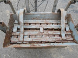 C:\fakepath\DSCN4449