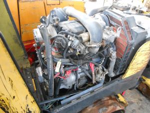 C:\fakepath\DSCN4499