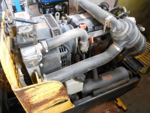 C:\fakepath\DSCN4500