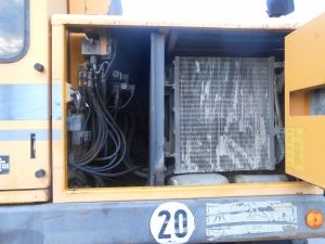 C:\fakepath\DSCN5286