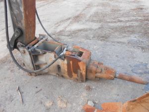 C:\fakepath\DSCN5281