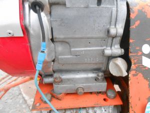 C:\fakepath\DSCN5164