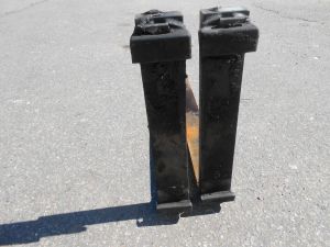 C:\fakepath\DSCN5497