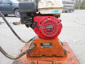 C:\fakepath\DSCN5665