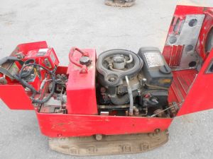 C:\fakepath\DSCN6002