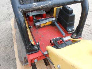 C:\fakepath\DSCN6944