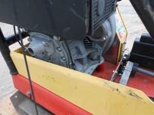 C:\fakepath\DSCN6945