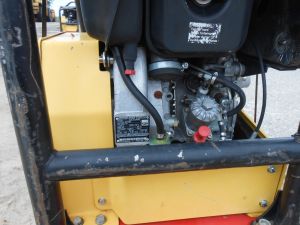 C:\fakepath\DSCN6946