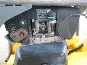 C:\fakepath\DSCN7685