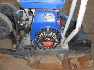 C:\fakepath\DSCN7254