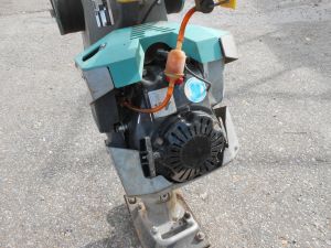 C:\fakepath\DSCN7996