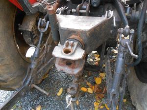 C:\fakepath\DSCN8036