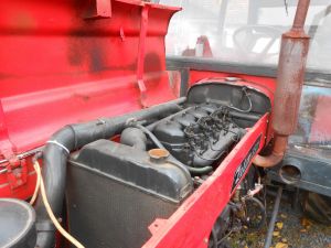 C:\fakepath\DSCN8038