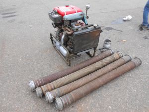 C:\fakepath\DSCN8210