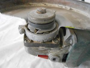 C:\fakepath\DSCN2840