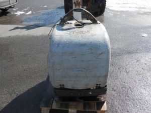 C:\fakepath\DSCN2919