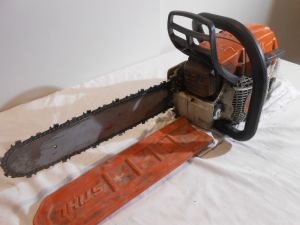 C:\fakepath\DSCN3299