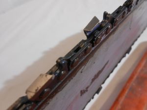 C:\fakepath\DSCN3297