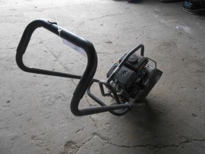 C:\fakepath\DSCN3958