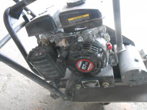 C:\fakepath\DSCN3960