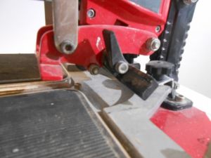 C:\fakepath\DSCN4162