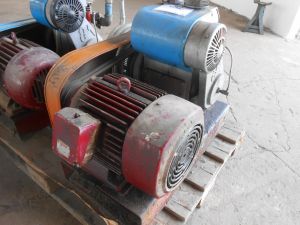 C:\fakepath\DSCN4202