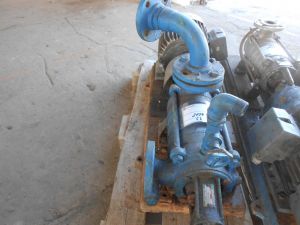 C:\fakepath\DSCN4261